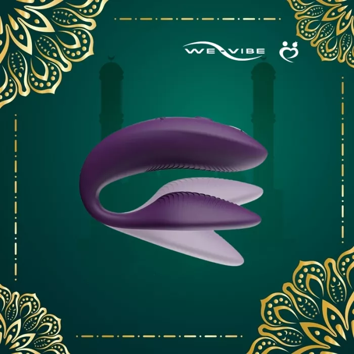 bullet vibrator wont turn on We-Vibe Sync 2