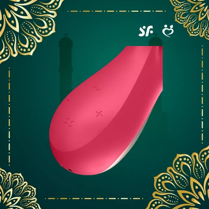 Mono Flex Rabbit Vibrator | Satisfyer Toys | Dubai